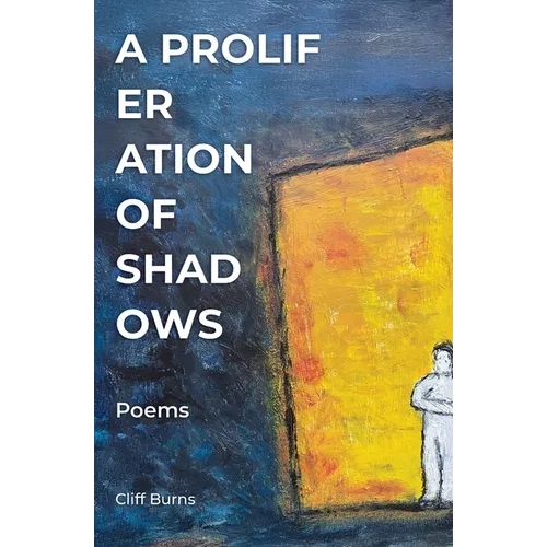 A Proliferation of Shadows