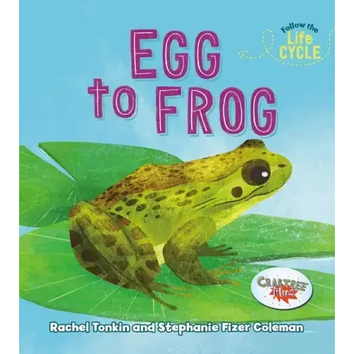Egg to Frog
