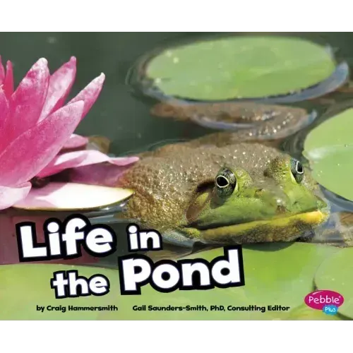 Life in the Pond