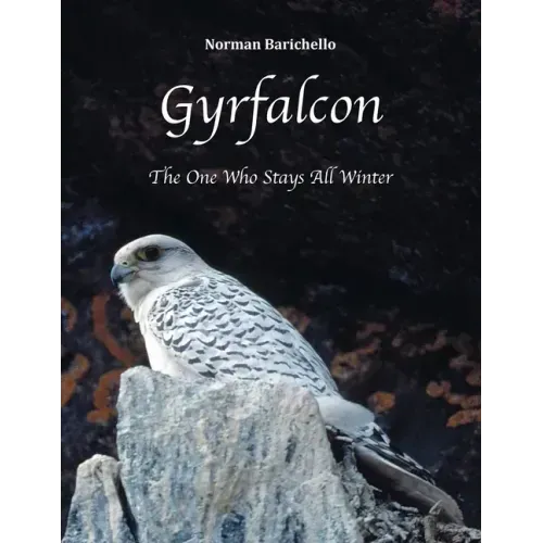 Gyrfalcon: The One Who Stays All Winter