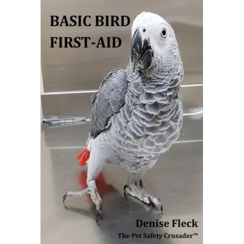 Basic Bird First-Aid