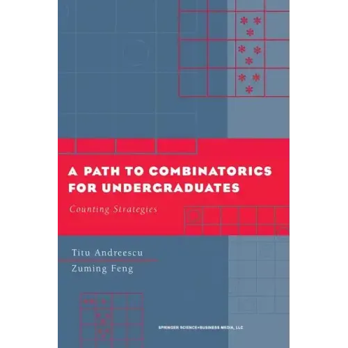 A Path to Combinatorics for Undergraduates: Counting Strategies