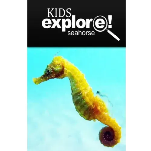 Seahorse - Kids Explore: Animal books nonfiction - books ages 5-6