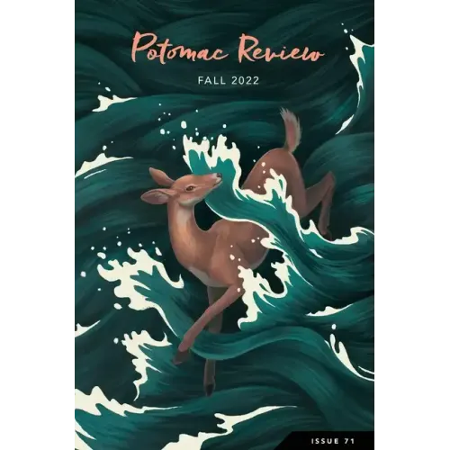 Potomac Review Issue 71