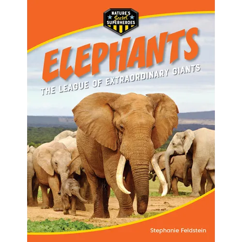 Elephants: The League of Extraordinary Giants