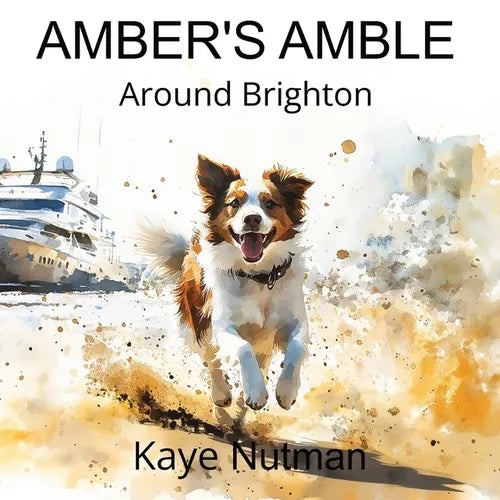 Amber's Amble Around Brighton