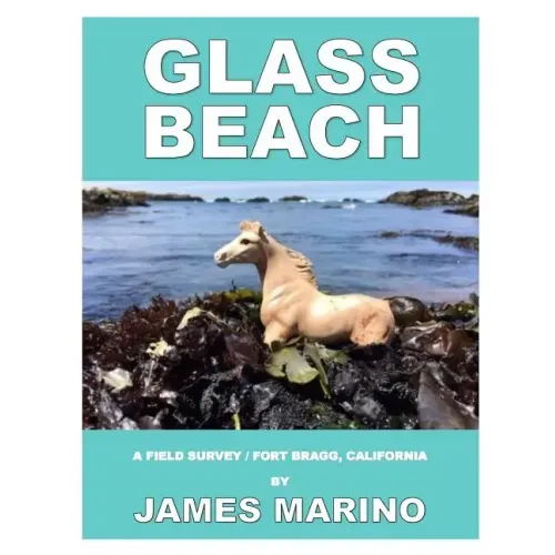 Glass Beach: A Field Survey / Fort Bragg, California