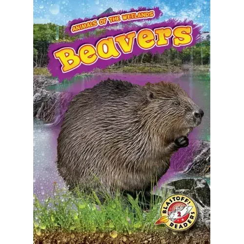 Beavers