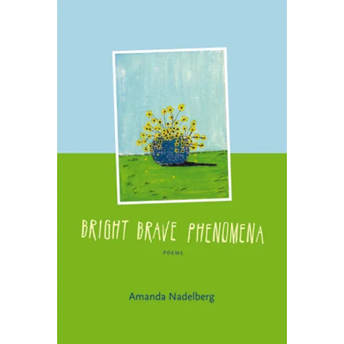 Bright Brave Phenomena