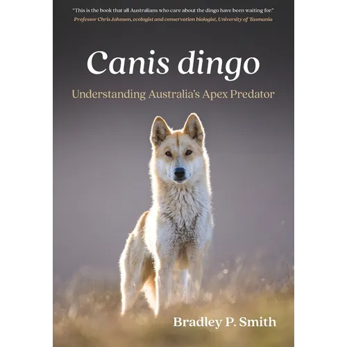 Canis dingo: Understanding Australia's Apex Predator