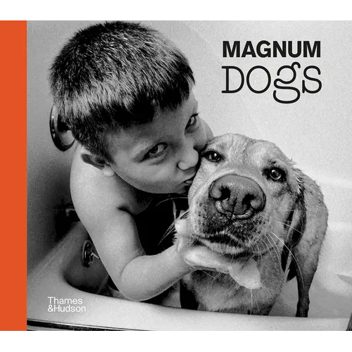 Magnum Dogs