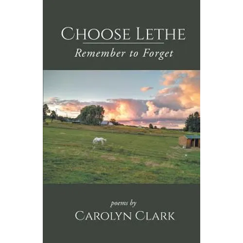 Choose Lethe: Remember to Forget