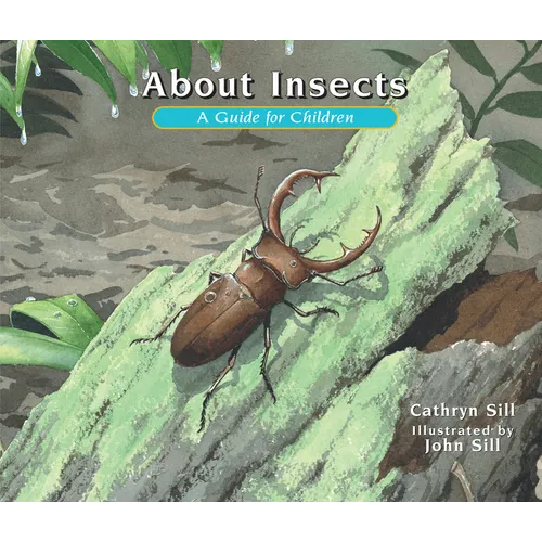 About Insects: A Guide for Children (Educational Science Book about Bugs for Stem Learning)