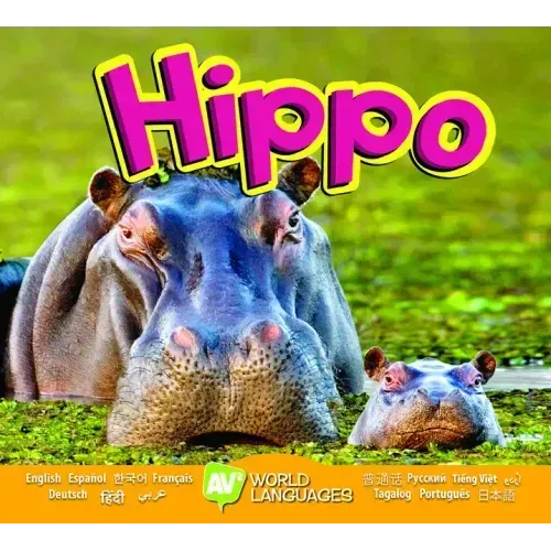 Hippo