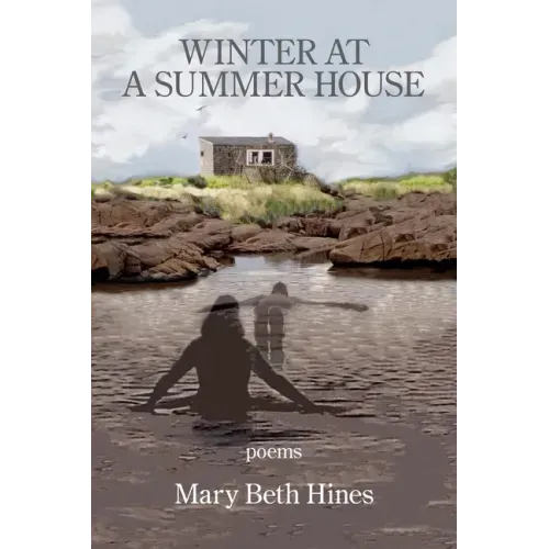 Winter at a Summer House