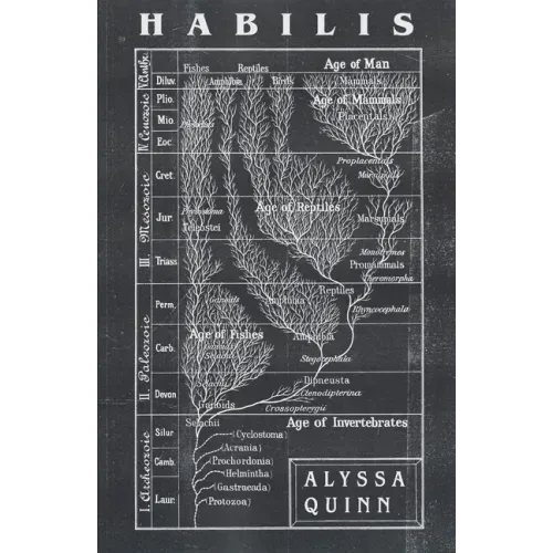 Habilis