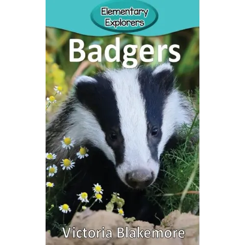 Badgers