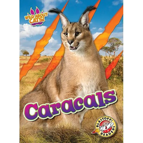 Caracals