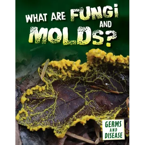 What Are Fungi and Molds?