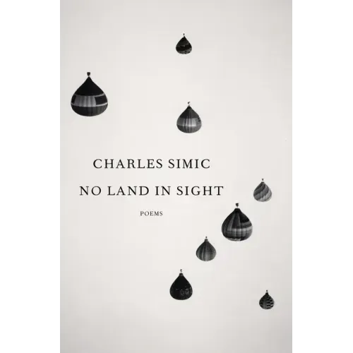 No Land in Sight: Poems