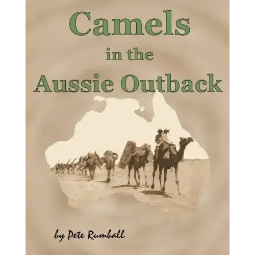 Camels in the Aussie Outback