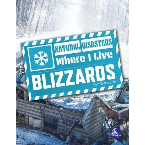 Blizzards