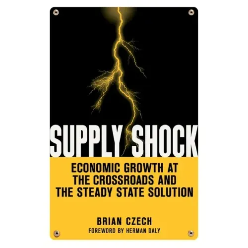 Supply Shock: Economic Growth at the Crossroads and the Steady State Solution