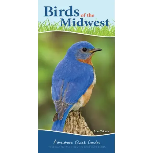 Birds of the Midwest: Identify Backyard Birds with Ease