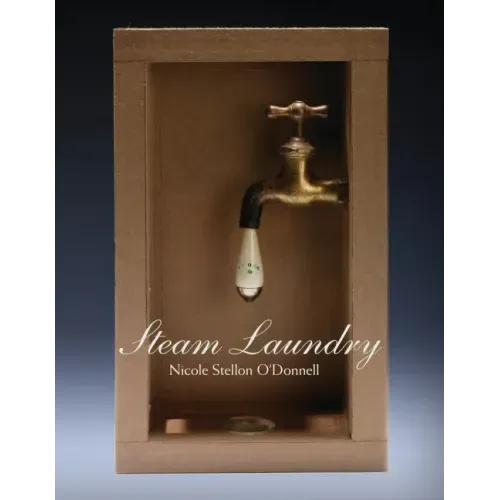 Steam Laundry