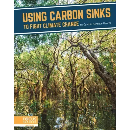 Using Carbon Sinks to Fight Climate Change