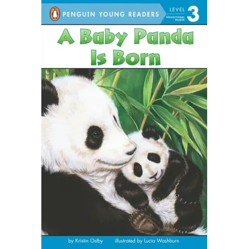 A Baby Panda Is Born