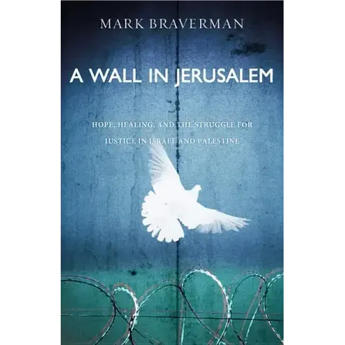 A Wall in Jerusalem: Hope, Healing, and the Struggle for Justice in Israel and Palestine