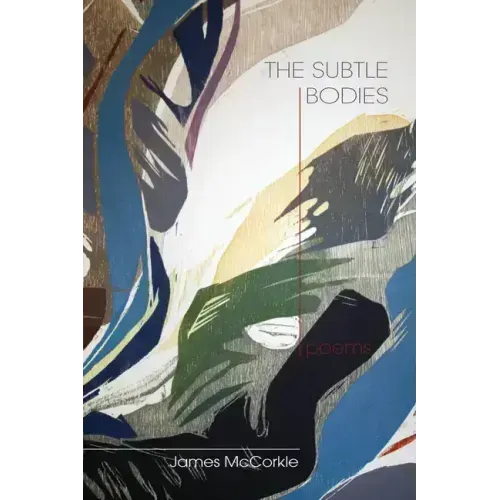 The Subtle Bodies