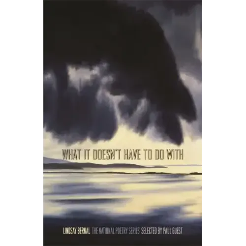 What It Doesn't Have to Do with: Poems