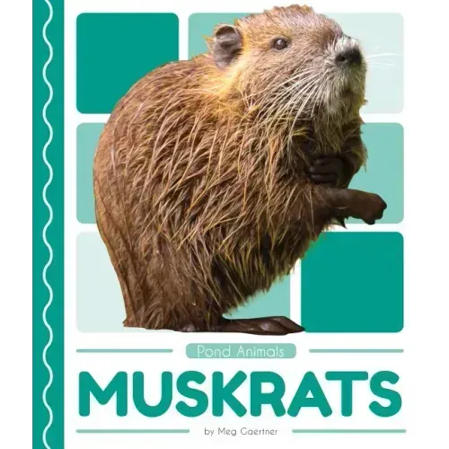 Muskrats
