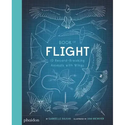 Book of Flight: 10 Record-Breaking Animals with Wings