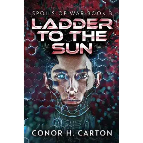 Ladder To The Sun