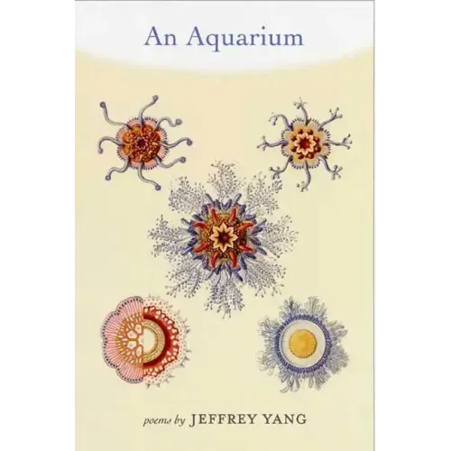 An Aquarium