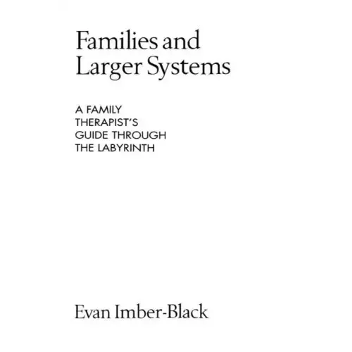 Families and Larger Systems: A Family Therapist's Guide Through the Labyrinth