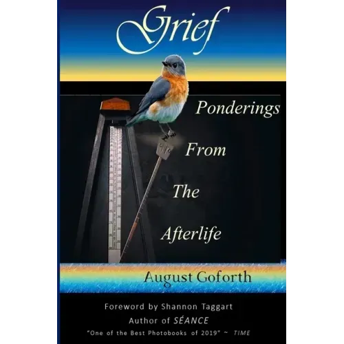 Grief: Ponderings From The Afterlife