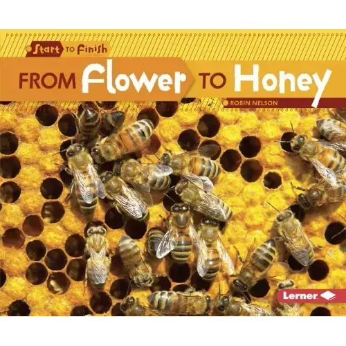 From Flower to Honey