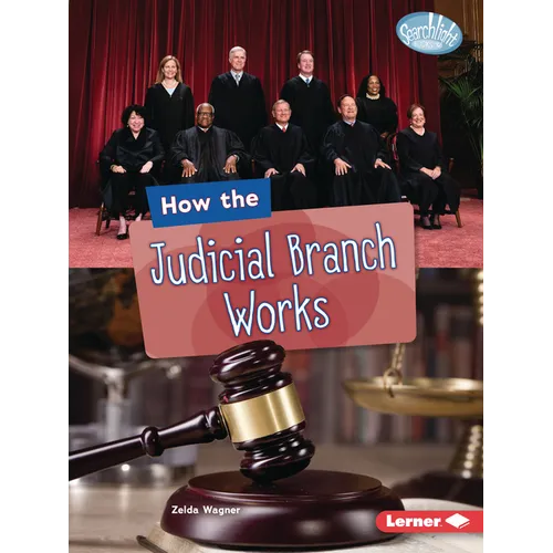 How the Judicial Branch Works
