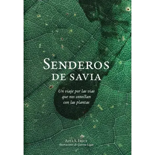 Senderos de savia: Un viaje por las vías que nos conectan con las plantas