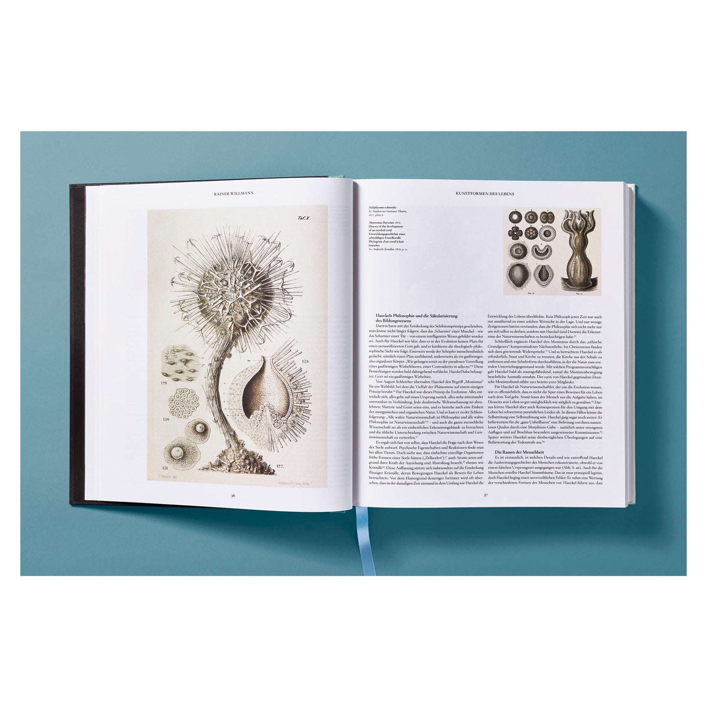The Art and Science of Ernst Haeckel (German, French, English) Book