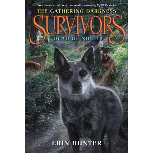 Survivors: The Gathering Darkness #2: Dead of Night