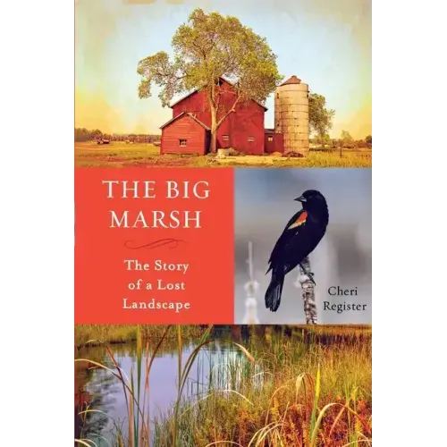 The Big Marsh: The Story of a Lost Landscape