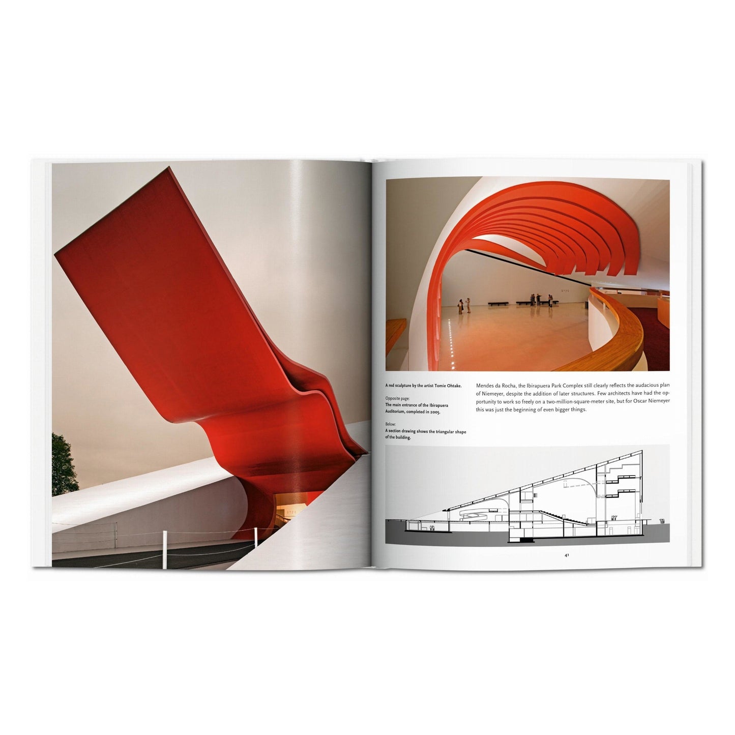 Niemeyer (English) Book