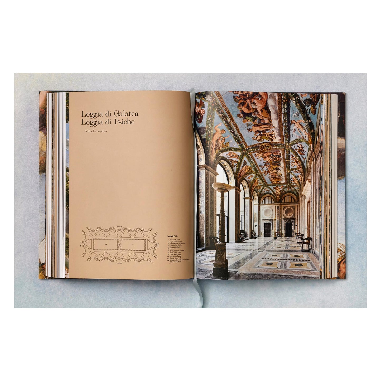 Raphael. The Complete Works. Paintings, Frescoes, Tapestries, Architecture (English) Book
