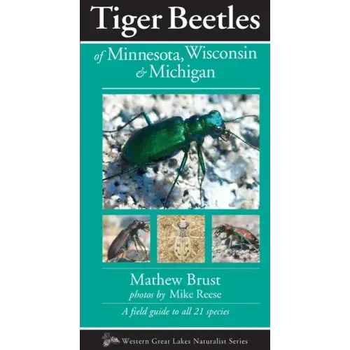 Tiger Beetles of Minnesota, Wisconsin & Michigan