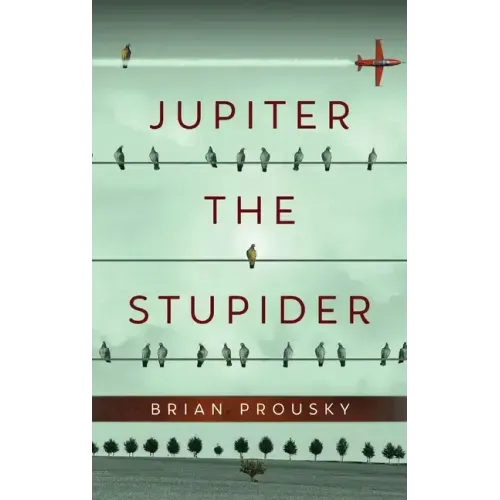 Jupiter the Stupider